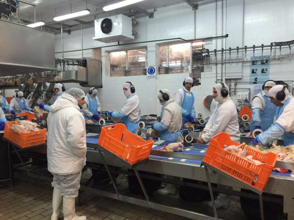 La mayor productora avícola del país, Granja Tres Arroyos, en las últimas horas inició acciones para declararse en crisis. Se esperan 700 despidos.