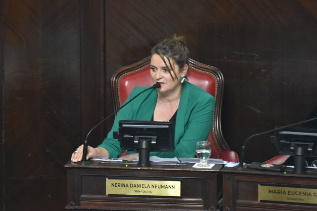 La senadora bonaerense del radicalismo, Nerina Neumann, presentó un proyecto para que el horario límite de venta de alcohol lo decidan los municipios.