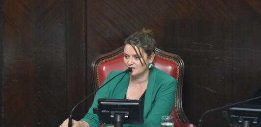 La senadora bonaerense del radicalismo, Nerina Neumann, presentó un proyecto para que el horario límite de venta de alcohol lo decidan los municipios.
