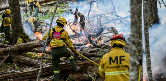 El Gobierno de Milei realizó cambios claves en la Ley de Ministerios y pasó el Sistema Nacional de Manejo del Fuego a la cartera de Bullrich.