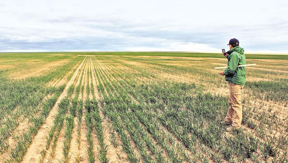 La sequía, la caída de los precios internacionales y la reestructuración macroeconómica, han afectado los costos y puesto en riesgo la viabilidad de los productores agropecuarios.