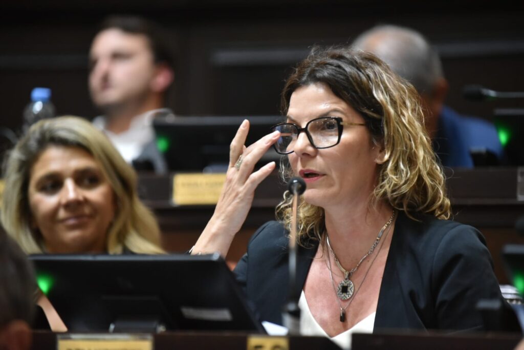 La diputada Natalia Dziakowski manifestó su deseo para Año Nuevo.