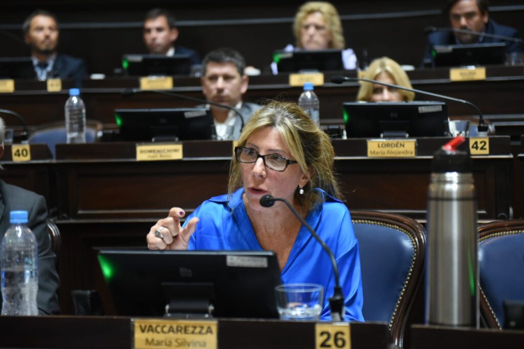 Silvina Vaccarezza valoró su primer año como diputada provincial y dejó su mensaje de Año Nuevo.