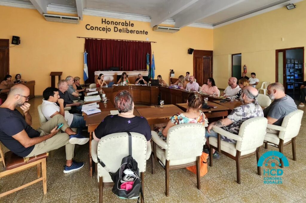 El Concejo Deliberante de Coronel Rosales aprobó en su última sesión del año un proyecto de ordenanza de Pirotecnia Cero. De qué trata.