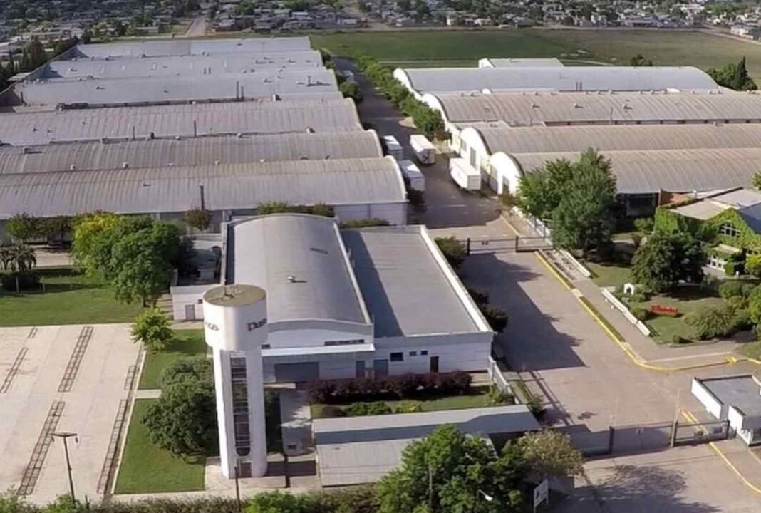 La multinacional Dass anunció el cierre de sus puertas y despidió a los 360 trabajadores. Los detalles.