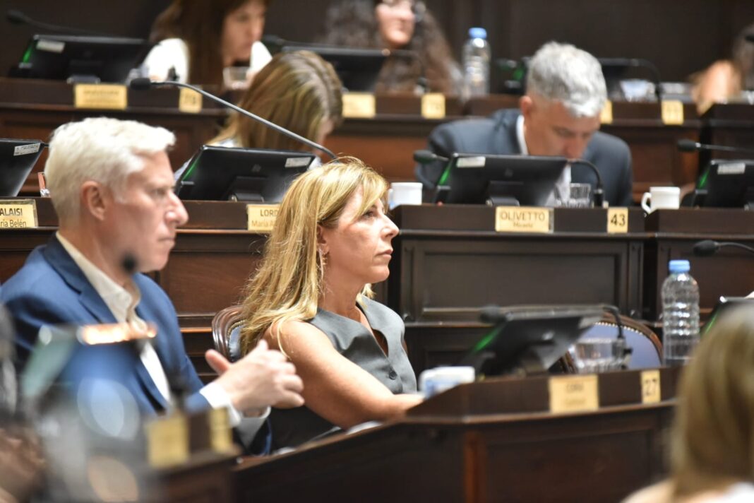 La diputada bonaerense del monzoísmo, Silvina Vaccarezza, le exigió al presidente de la Nación, Javier Milei, que elimine las retenciones al campo.