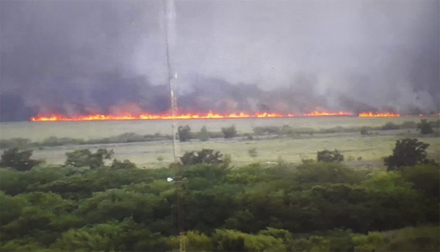 El mayor foco de incendio en Campana tuvo lugar en el Parque Nacional Ciervo de los Pantanos.