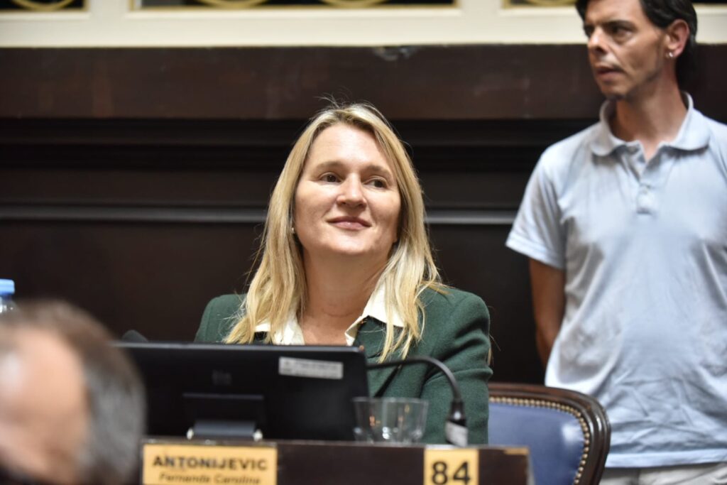 La diputada del PRO, Fernanda Antonijevich, repudió la reestructuración en el Organismo de la Niñez y Adolescencia.