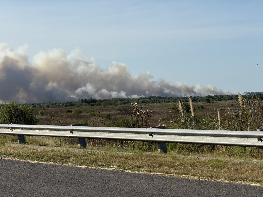 El incendio en Punta Lara comenzó el sábado a la tarde y provocó una extensa humareda que llegó hasta la Autopista Buenos Aires-La Plata.