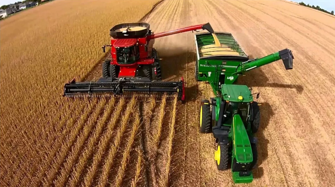 Un reciente informe de la consultora Data Miazzo dio cuenta de la participación del campo y la agroindustria en la economía nacional.