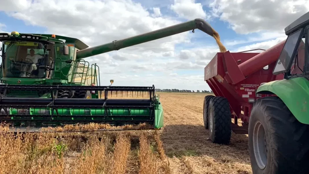 El Consejo Agroindustrial Argentino se reunió con el equipo económico del Gobierno nacional en donde pidió una baja generalizada de las retenciones.
