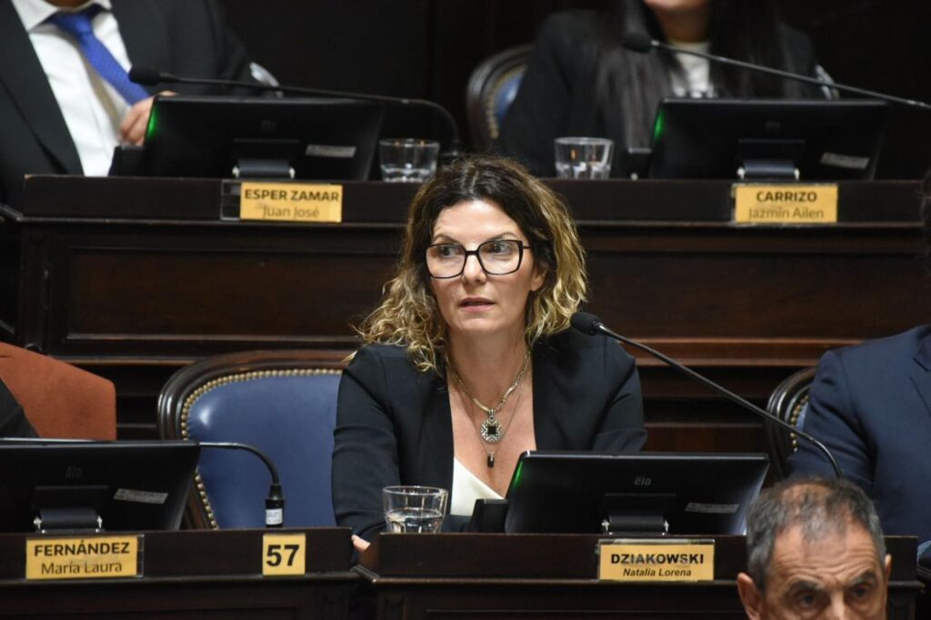 La presidenta de la comisión de Genero y Diversidad de Diputados, Natalia Dziakowski, defendió la ley de Paridad de Género.