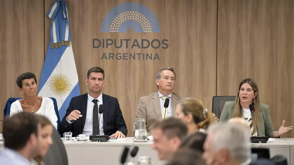 Ficha Limpia: La iniciativa fue impulsada por diputados de La Libertad Avanza (LLA), la Unión Cívica Radical (UCR) y la Coalición Cívica.