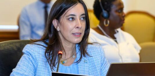 Javier Milei apartó a Sonia Cavallo de la OEA luego de las críticas de su padre a la política económica del Gobierno.