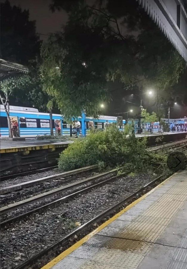 Temporal en el AMBA: En el caso del Tren Sarmiento, un árbol cayó en Haedo y generó interrupciones, aunque el servicio ya fue restablecido casi en su normalidad.