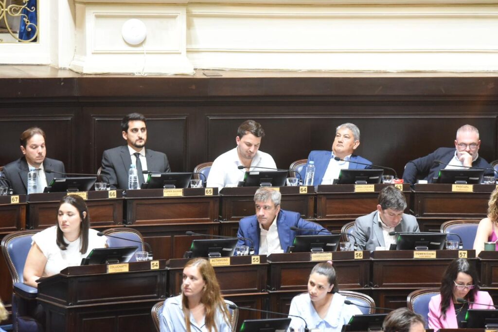 El titular del bloque de La Libertad Avanza en la Cámara de Diputados bonaerense, Agustín Romo, salió con los tapones de punta.