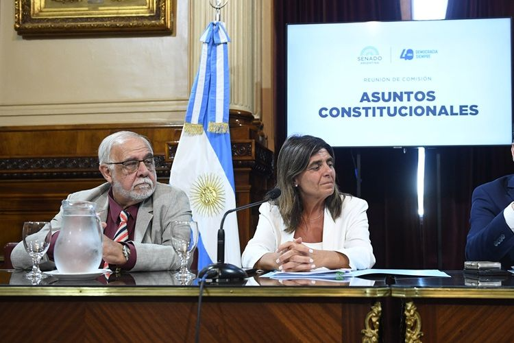 La comisión de Asuntos Constitucionales del Senado trata la suspensión de las PASO. 