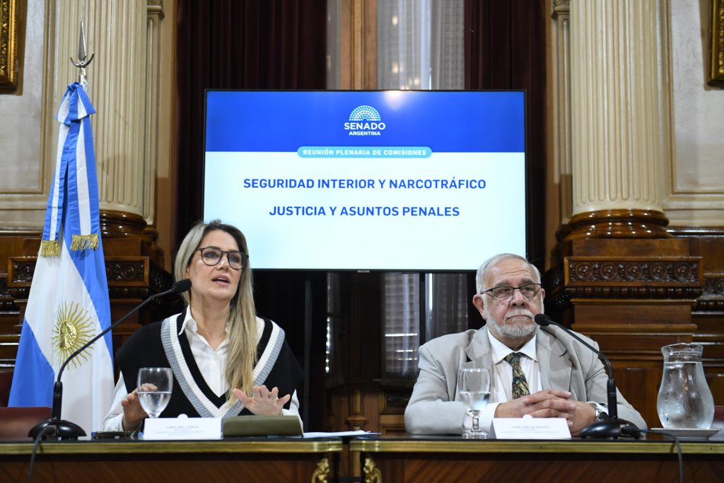 La comisión de Justicia y Asuntos Penales del Senado trata la ley de reicidencia y juicio en ausencia. 