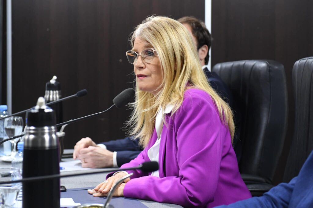 La vicegobernadora de Axel Kicillof, Verónica Magario, volvió a apuntar al presidente Milei a través de sus redes sociales. 
