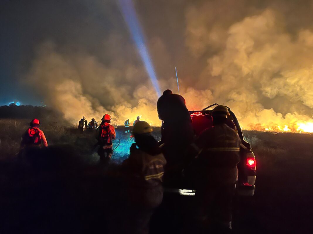 Crecen los incendios forestales en la Provincia de Buenos Aires, ya son más de 100 las intervenciones del cuerpo de bomberos. Entérate todos los detalles.
