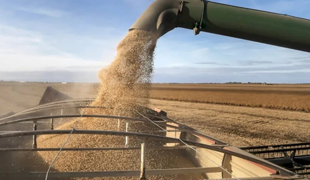 ARBA confirmó que este 2025, los productores agropecuarios bonaerenses pagarán un menor Impuesto Inmobiliario Rural, con relación al 2024.