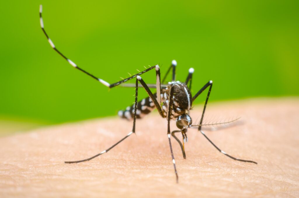 El Gobierno provincial amplió la campaña de vacunación para paliar los casos de dengue antes del verano.