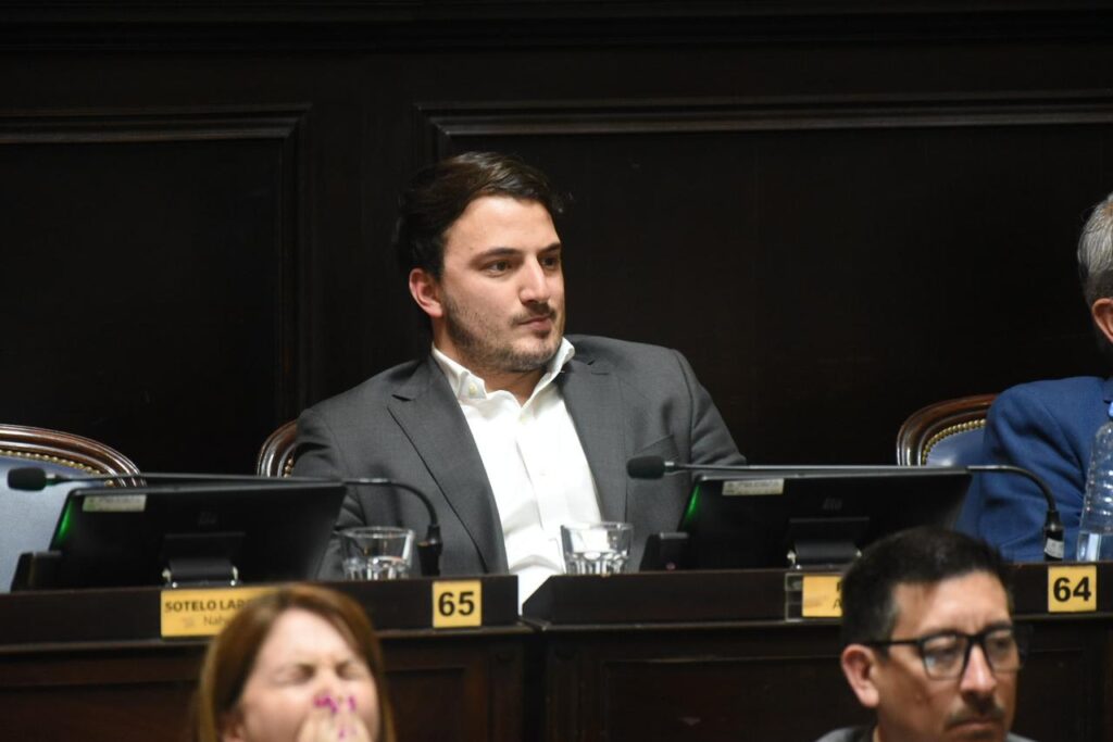El titular de La Libertad Avanza en Diputados, Agustín Romo, en una de sus primeras sesiones de la Legislatura bonaerense.