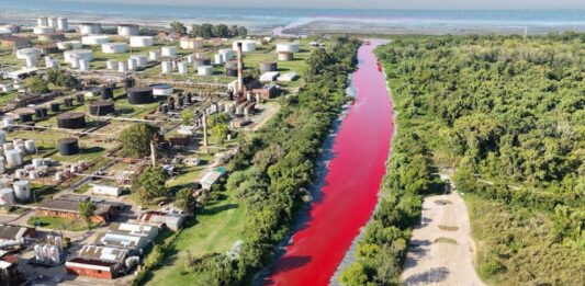 El Consejo de Químicos bonaerenses exigió soluciones al problema del agua roja del arroyo Sarandí y le tiró misivas a la Legislatura por la falta de normativas.