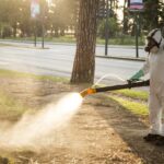 Detectan el primer brote de dengue del año en un distrito del Conurbano El ministerio de Salud bonaerense detectó 29 nuevos casos confirmados de dengue, de los cuales 16 figuran como autóctonos.