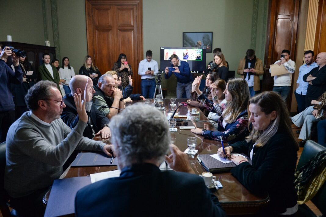 El Senado bonaerense reactiva la comisión de Seguridad en medio de la conmoción por el asesinato de Kim Gómez.