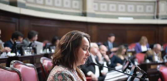 La senadora bonaerense, Lorena Mandagarán, presentó un proyecto que pretende modificar la normativa para que los nonatos tengan su nombre en los certificados de defunción.