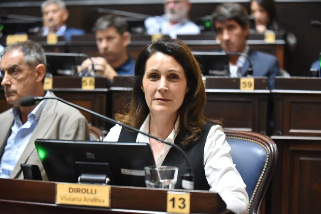 Viviana Dirolli es la titular de la comisión de Asuntos Culturales de la Cámara de Diputados.