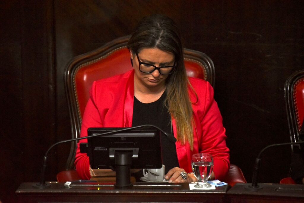 La senadora bonaerense, Nerina Neumann, cuestionó la falta de infraestructura para prevenir el temporal en la provincia de Buenos Aires.