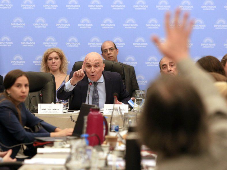 Espert destacó los proyectos de baja de imputabilidad y la iniciativa conocida como "Ficha Limpia".