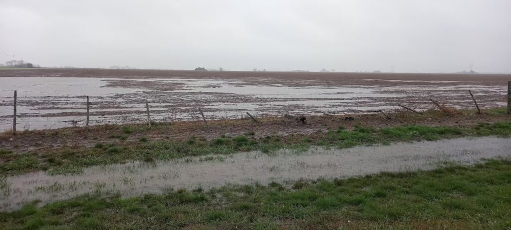 En la provincia de Buenos Aires, en tanto, cerca de 2 millones de hectáreas quedaron bajo el agua.
