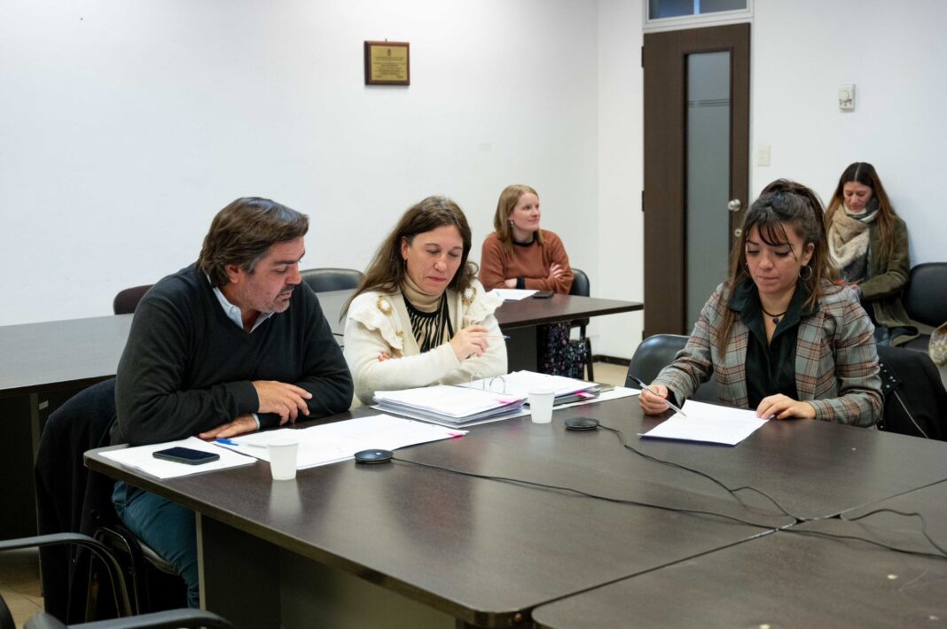 La comisión de Reforma Política y del Estado dio el puntapié para el debate sobre si se suspenderán o no las elecciones PASO en la provincia de Buenos Aires.