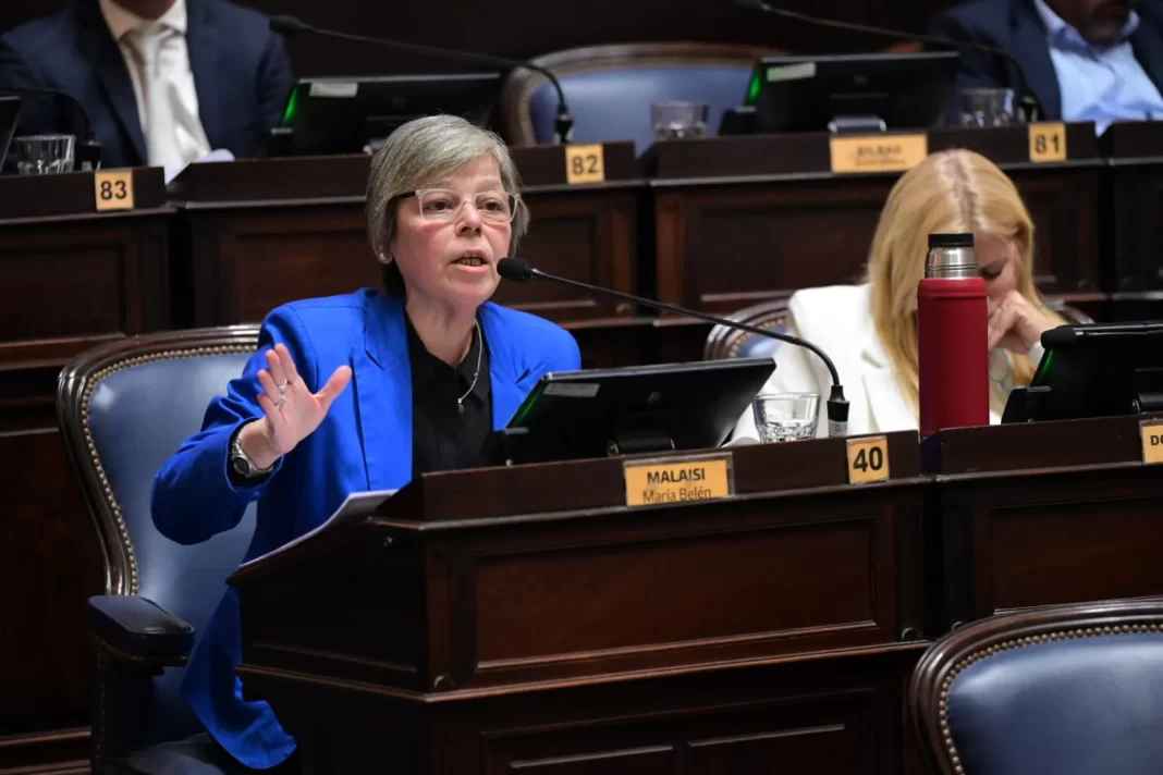 La diputada de la UCR, Belén Malaisi, condenó el decreto de Milei y volvió sobre el rol del Congreso en los endeudamientos del Estado con el FMI.