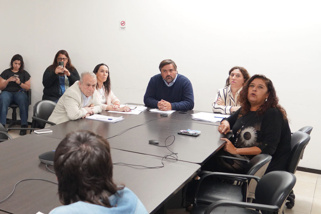 En medio de la reunión informativa de la comisión de Reforma Política, la diputada Susana González acusó a la oposición de hacer un “circo” con el debate de las PASO.