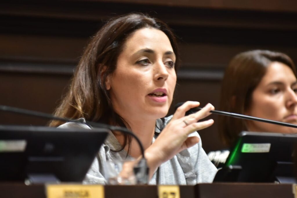 En la Legislatura, se cayó la sesión para suspender las PASO y Kicillof se paró de manos