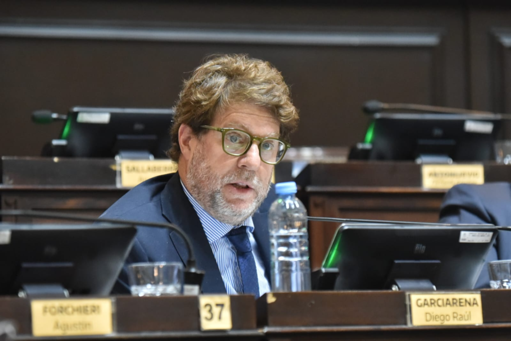 El titular del bloque UCR + Cambio Federal, Diego Garciarena.