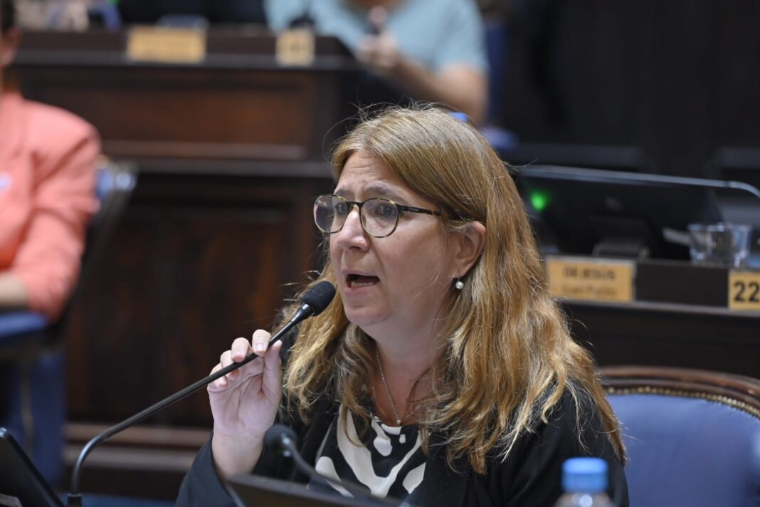 La diputada bonaerense de Axel Kicillof, Laura Aloisi, explicó por qué no bajó al recinto cuando se intentó tratar la suspensión de las PASO.