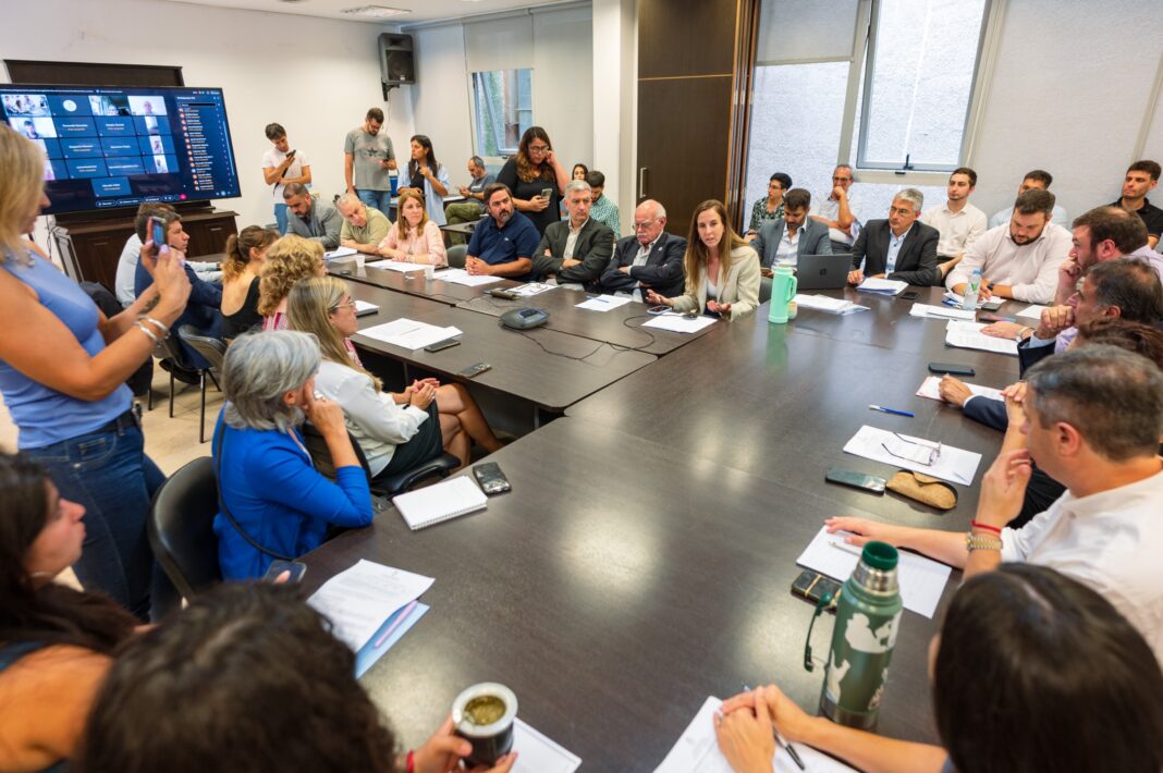 La comisión de Asuntos Constitucionales y Justicia de la Cámara de Diputados tratará este martes los proyectos de suspensión de las PASO.