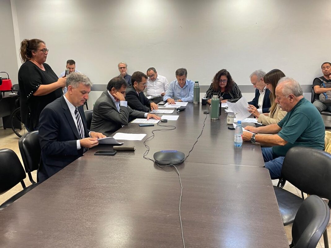 La comisión de Asuntos Constitucionales y Justicia de Diputados le dio el primer dictamen al proyecto de Kicillof para suspender las PASO, que queda para la semana que viene.