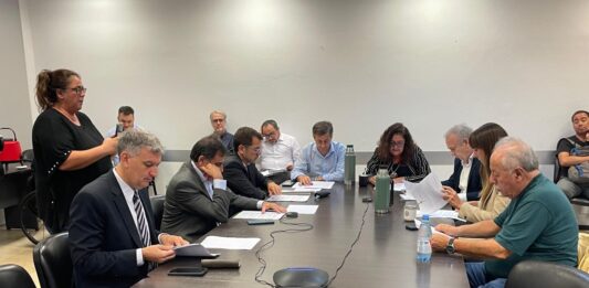 La comisión de Asuntos Constitucionales y Justicia de Diputados le dio el primer dictamen al proyecto de Kicillof para suspender las PASO, que queda para la semana que viene.