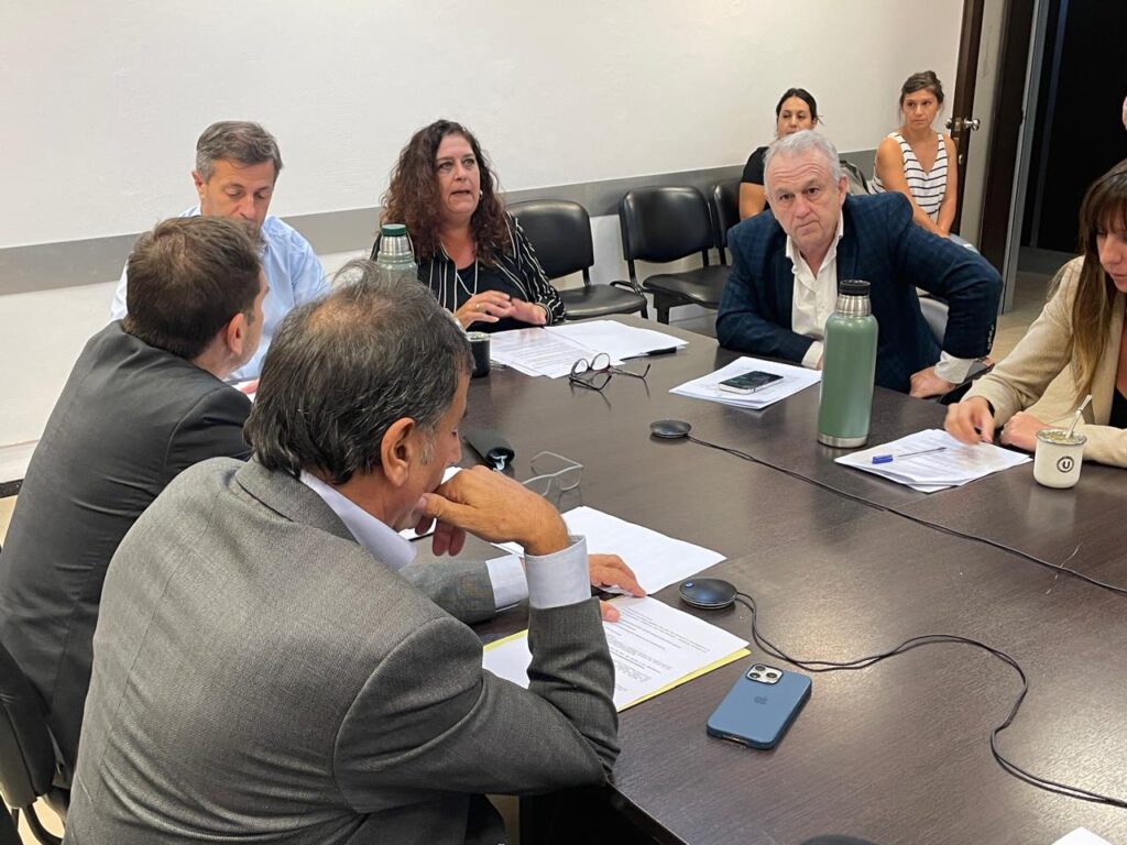 La comisión de Asuntos Constitucionales y Justicia de Diputados le dio el primer dictamen al proyecto de Kicillof para suspender las PASO, que sería tratado la semana que viene.