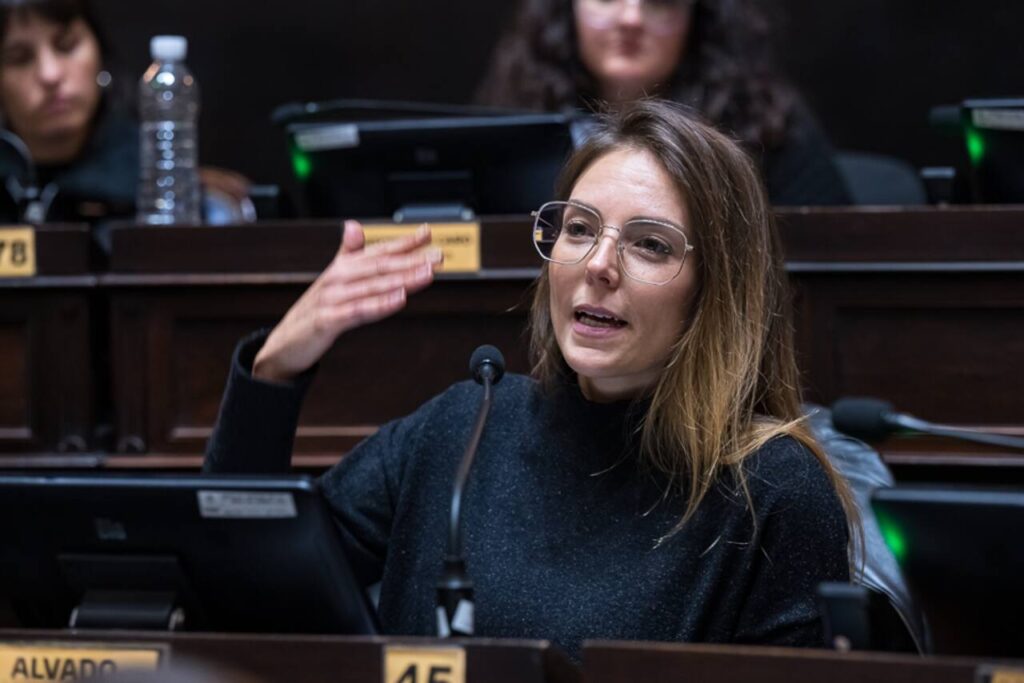 La diputada de La Cámpora, Maite Alvado, es la autora del proyecto para declarar la emergencia en Bahía Blanca por el temporal.