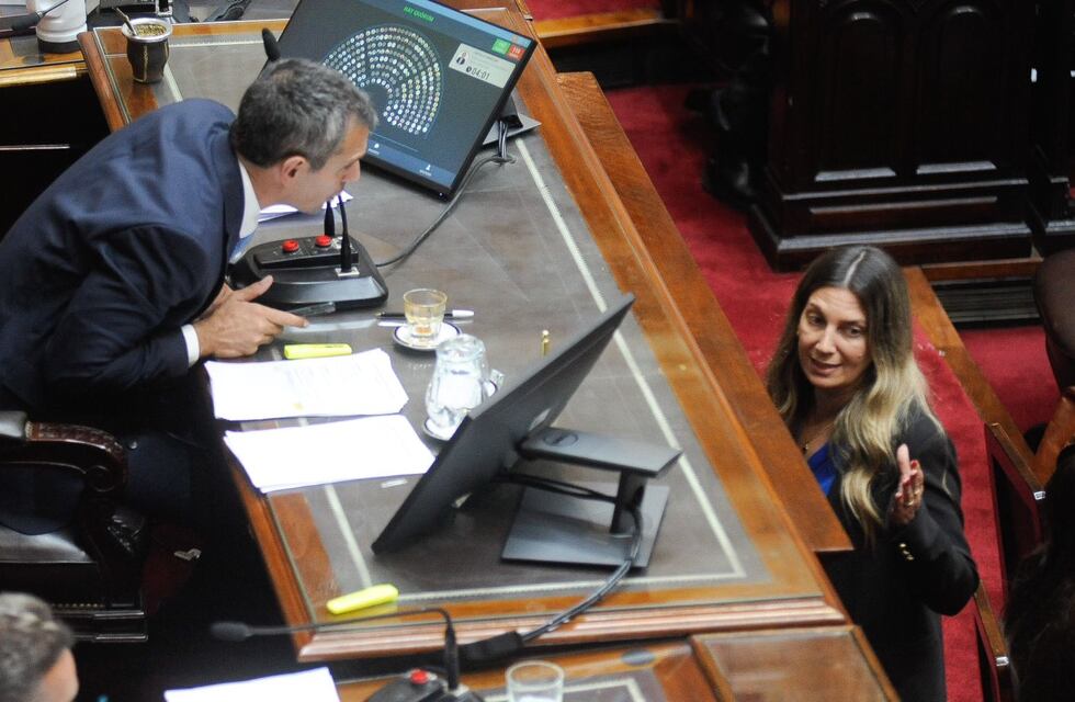 La iniciativa es impulsada en conjunto por el presidente de la Cámara, Martín Menem, y la diputada Lospennato.