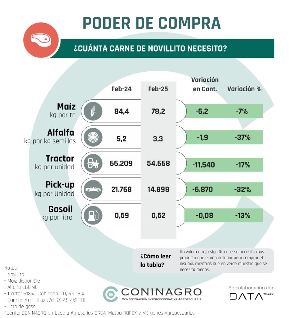 En su informe anual, CONINAGRO destacó la competitividad y la estabilidad en el mercado del maíz frente a otros cultivos. 