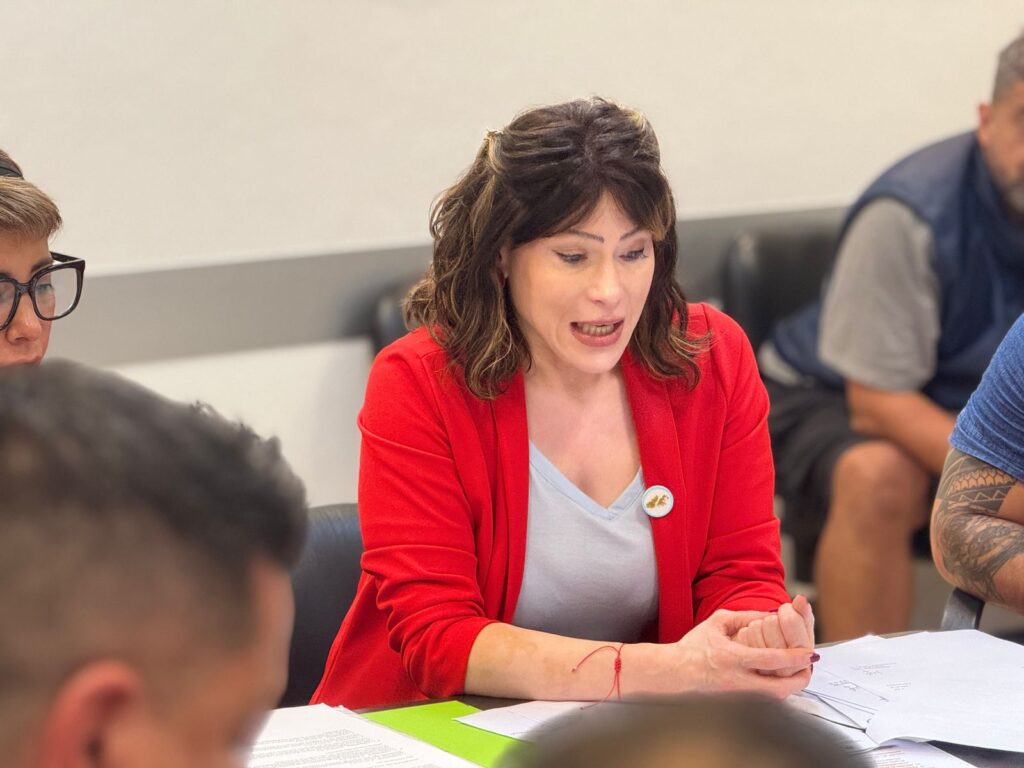 La titular de la comisión de Trabajo, la diputada Soledad Alonso. 