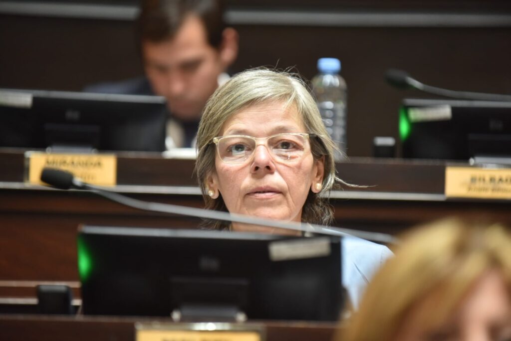 La diputada Belén Malaisi repudió la posible fusión entre el SMN y el Instituto Geográfico.